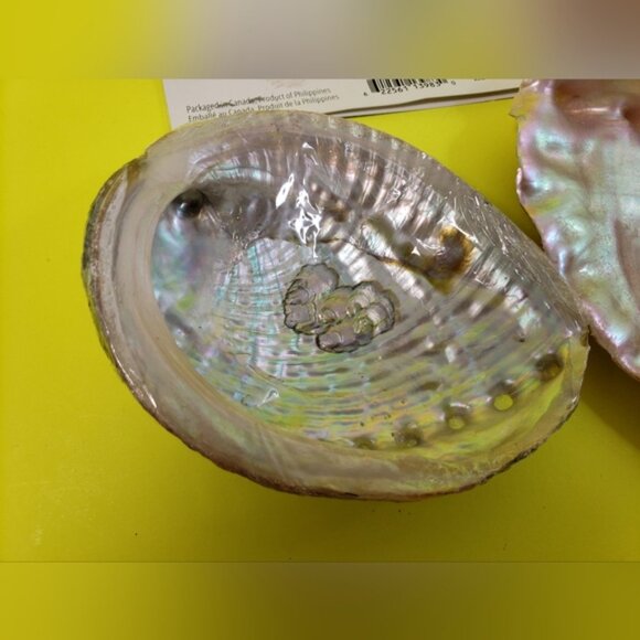 Abalone Shells Two For Cleansing Or Decor Ideas - Picture 2 of 12